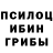 Псилоцибиновые грибы Psilocybine cubensis Nurila Avazova
