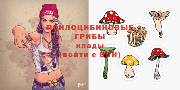 наркотики Алексин
