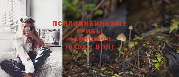 метадон Армянск
